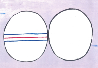 ���؂����