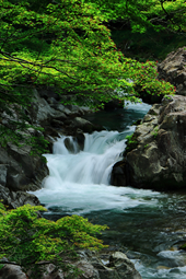 【佳作３】：初夏の大蛇ヶ淵